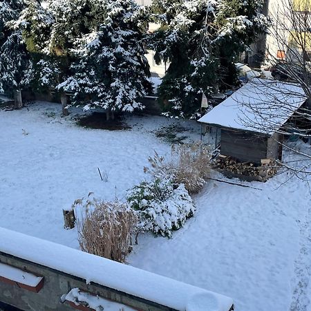 Ferienwohnung Dieblich An Der Mosel Экстерьер фото